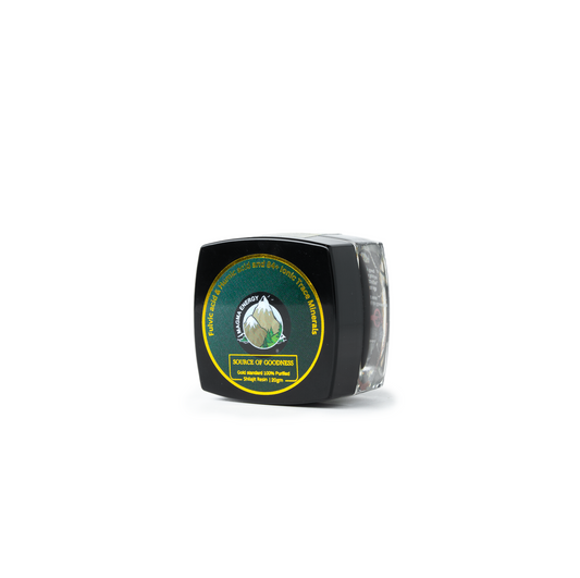 Magma Energy Shilajit Resin 20gram 3 month dosage