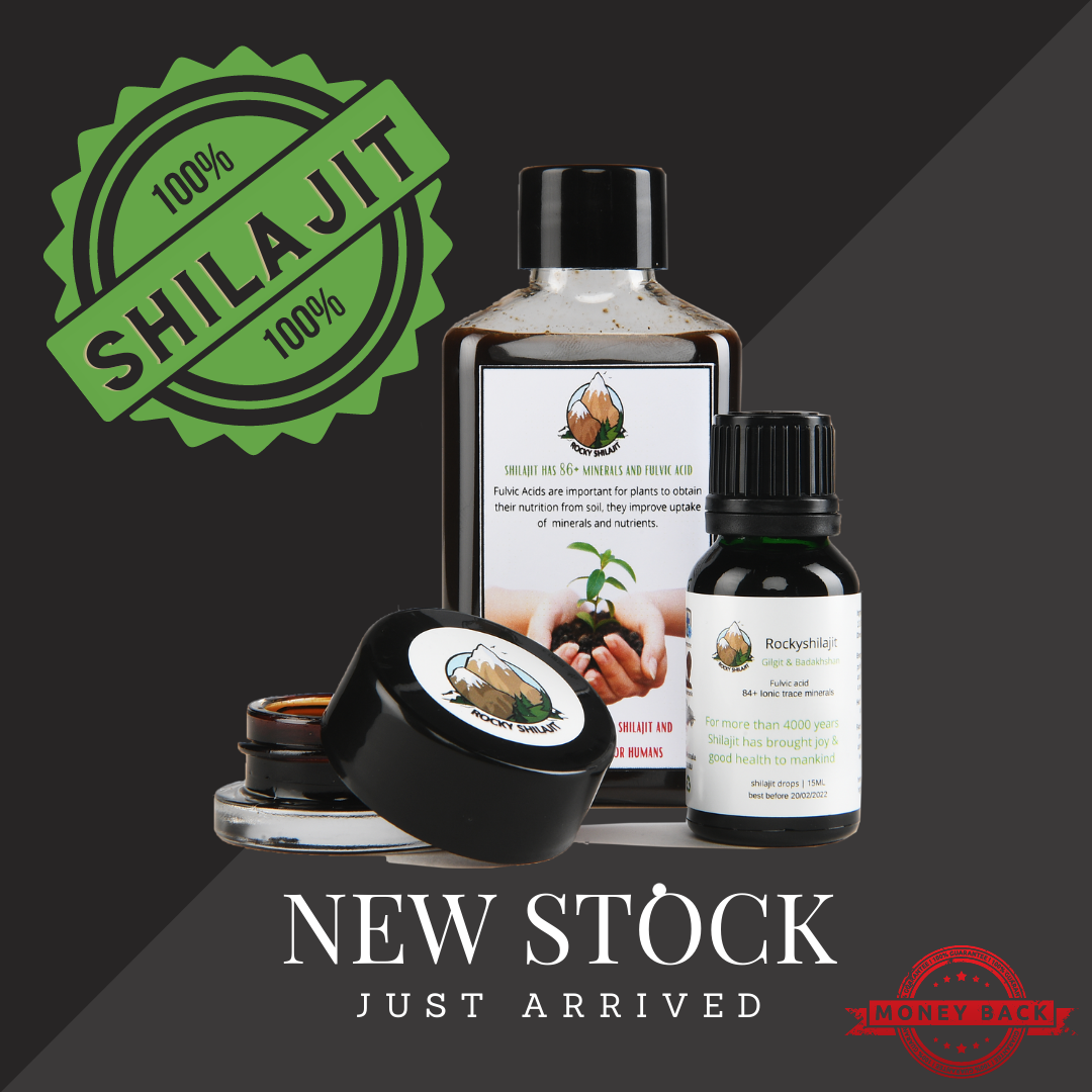 magma energy shilajit products